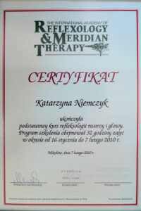 Jing Katarzyna Niemczyk dyplom10