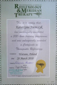 Jing Katarzyna Niemczyk dyplom7